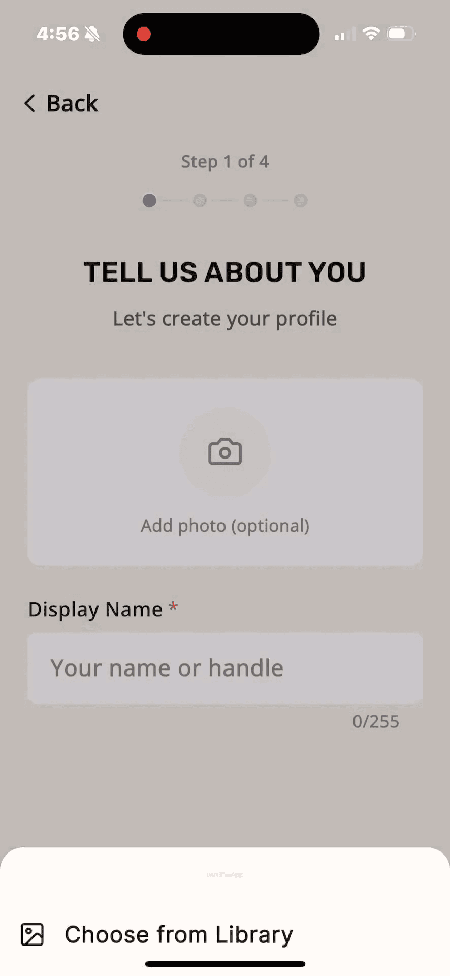 Step #3: Enter your display name or handle in the designated text field.
