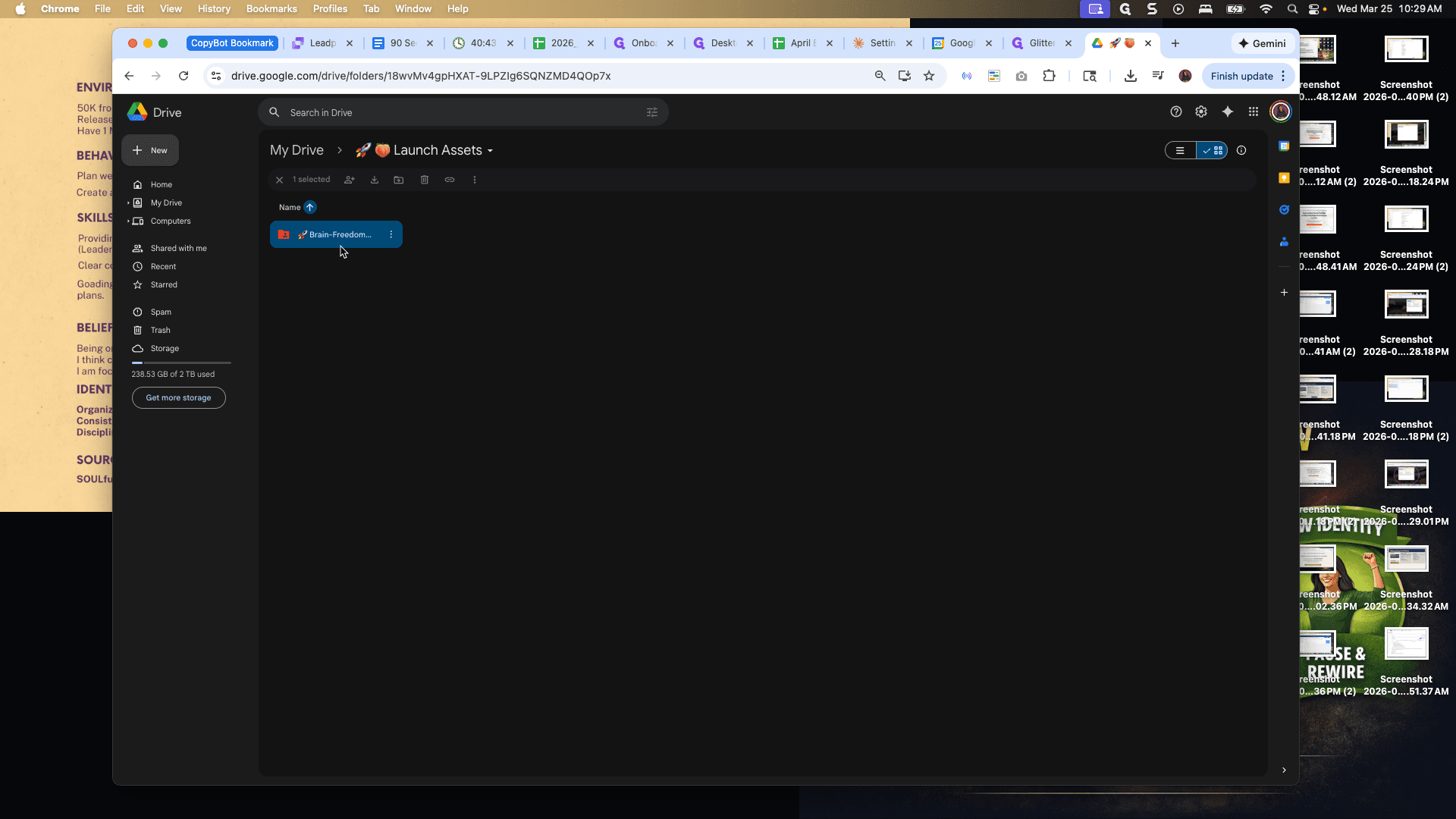 Step #19: Double-click on "Brain - Freedom ..."