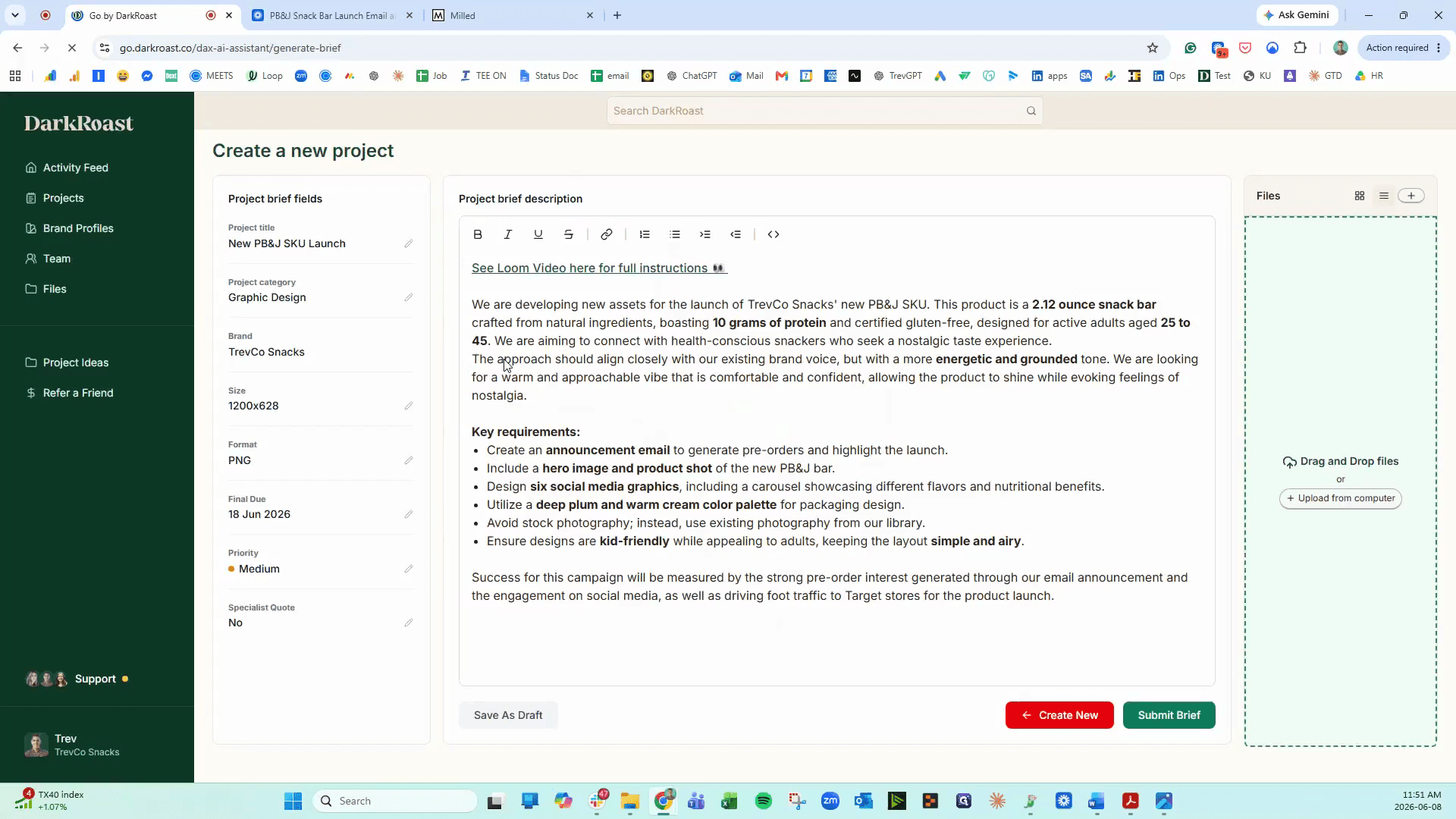Step #9: Review the generated project summary in the central text editor to ensure the scope is accurate.