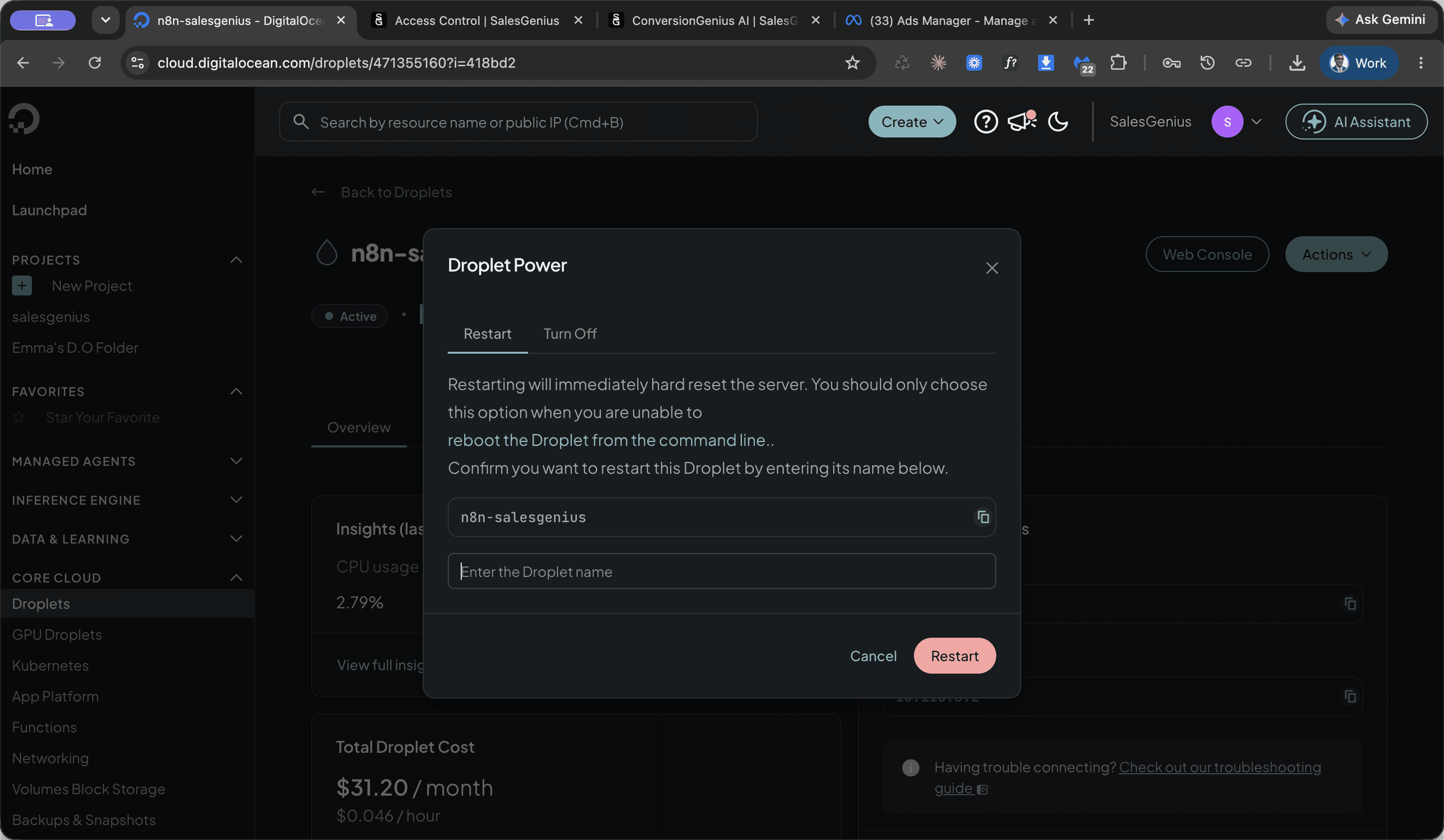 Step #3: Click the Enter the Droplet name text input field and type the droplet name to confirm.