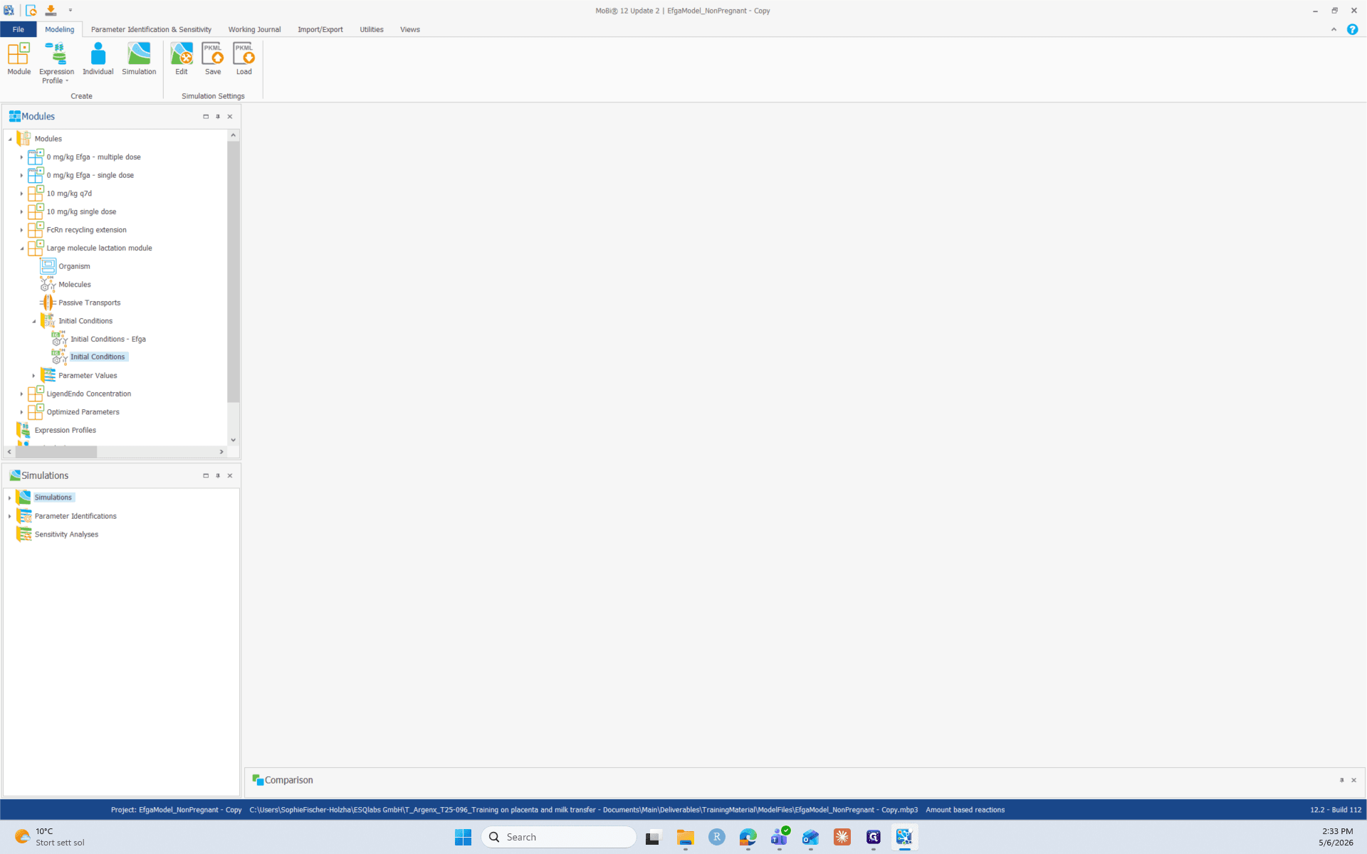 Step #2: Double-click the new Initial Conditions item to open it in the central workspace.
