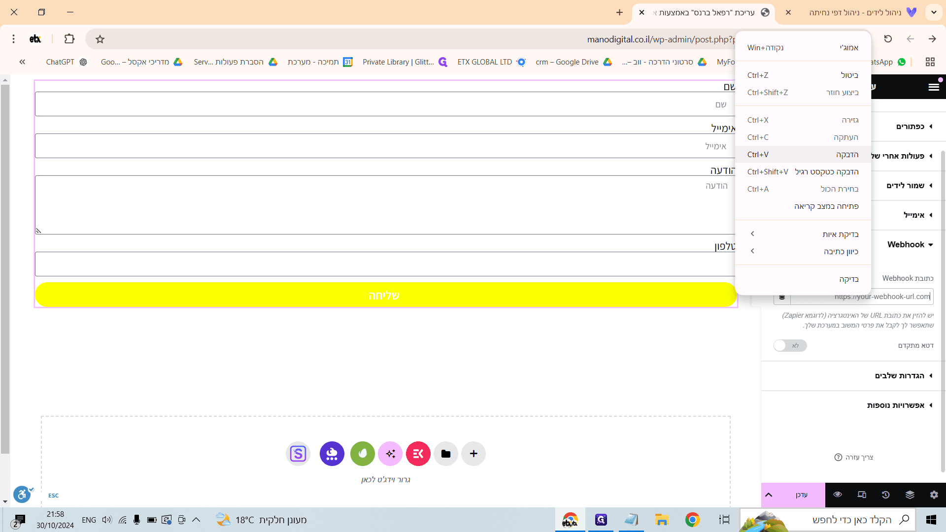 Step #17: ותדביקו את ה "Webhook" בעמודה בWordpress