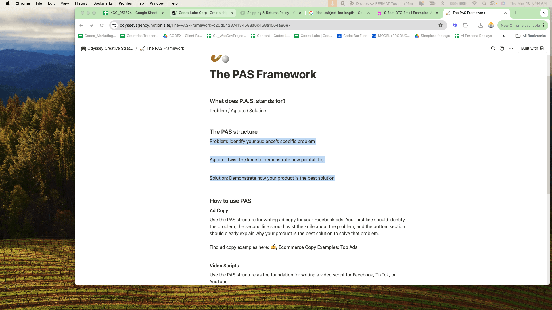 Step #4: Call out the copy framework for the offer.