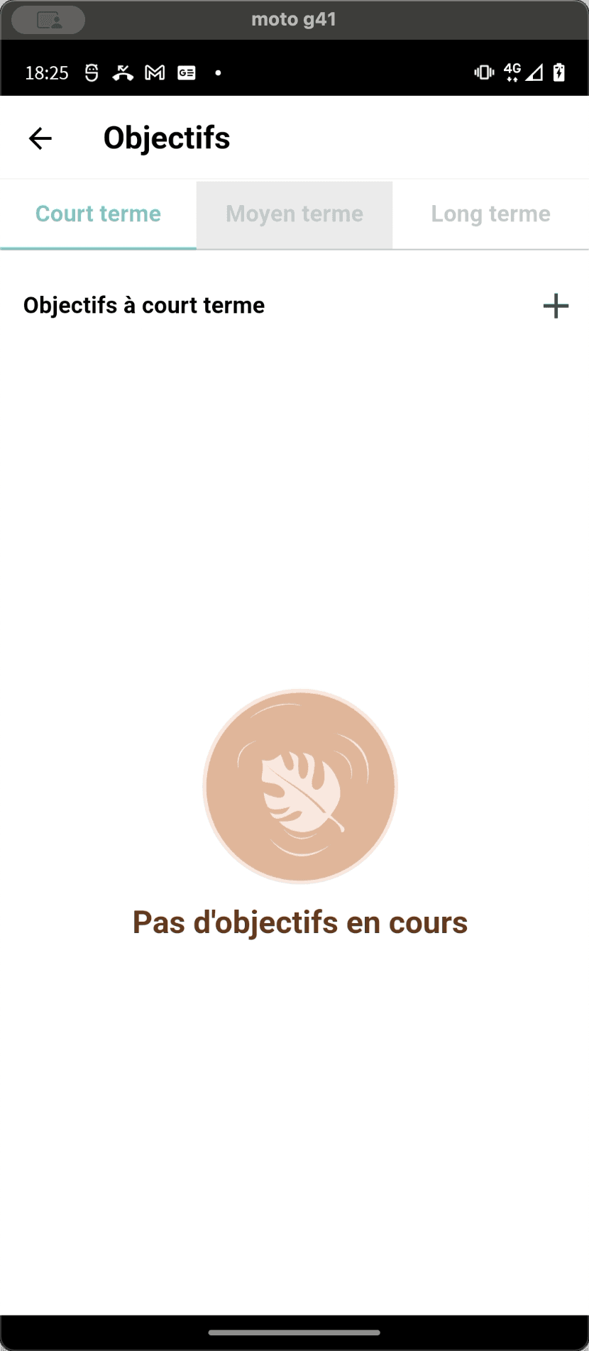 Step #14: Cliquez sur "Moyen terme" ou "Long terme" si vous souhaitez ajoutez/consulter/modifier des objectifs de ce type.