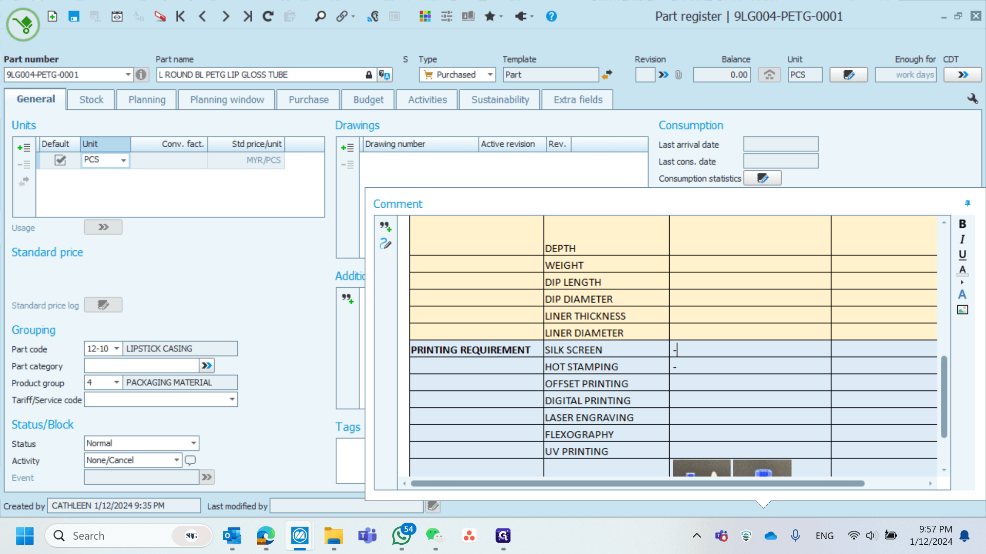Step #6: For the Printing Requirement, simply indicate “NA” or use a dash.