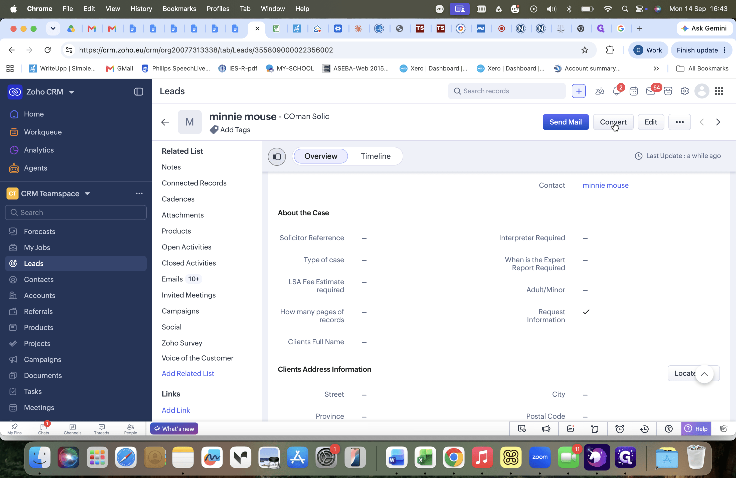 Step #10: Click Convert in the upper right action bar of the lead record.