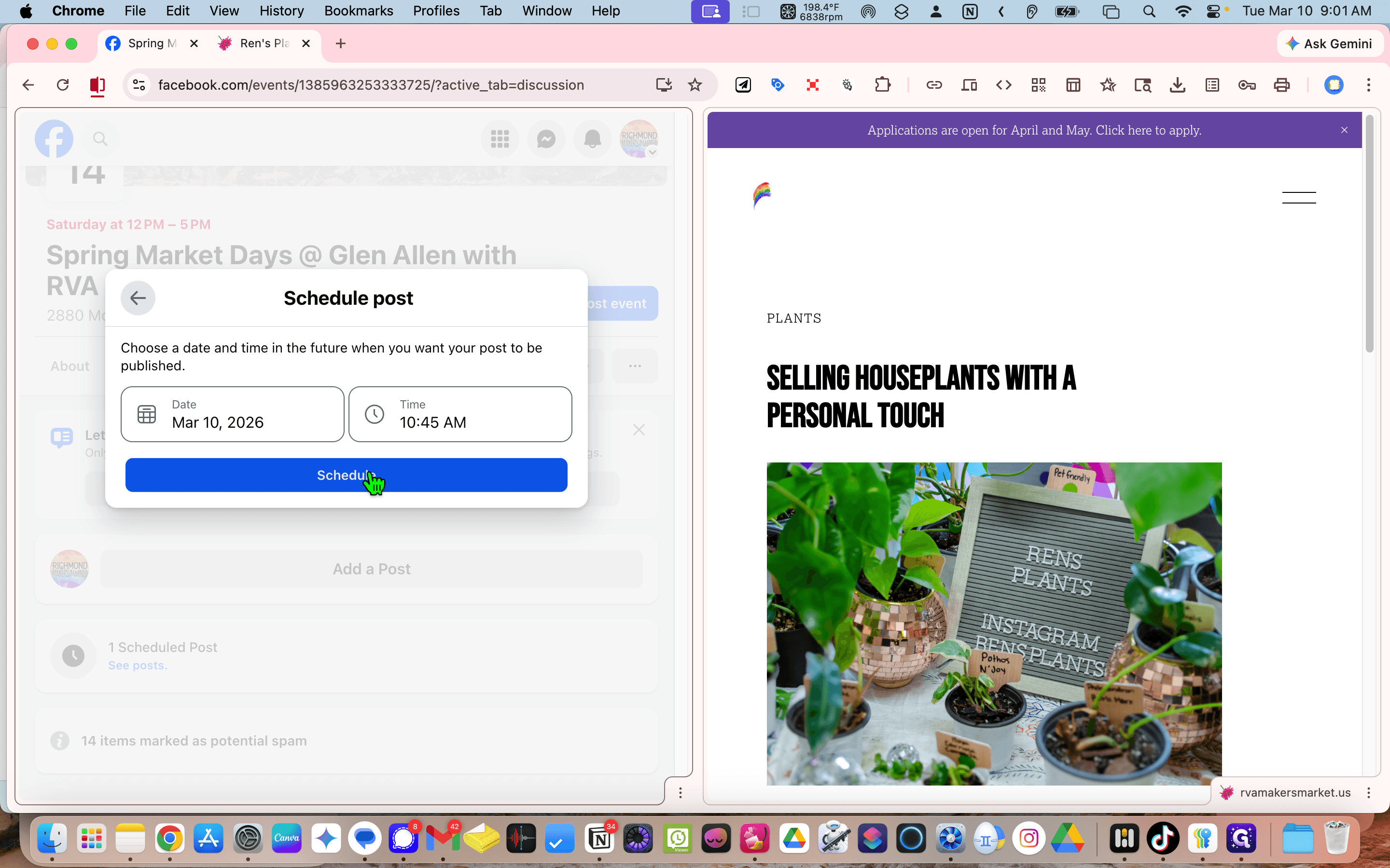 Step #51: Click on "Schedul"