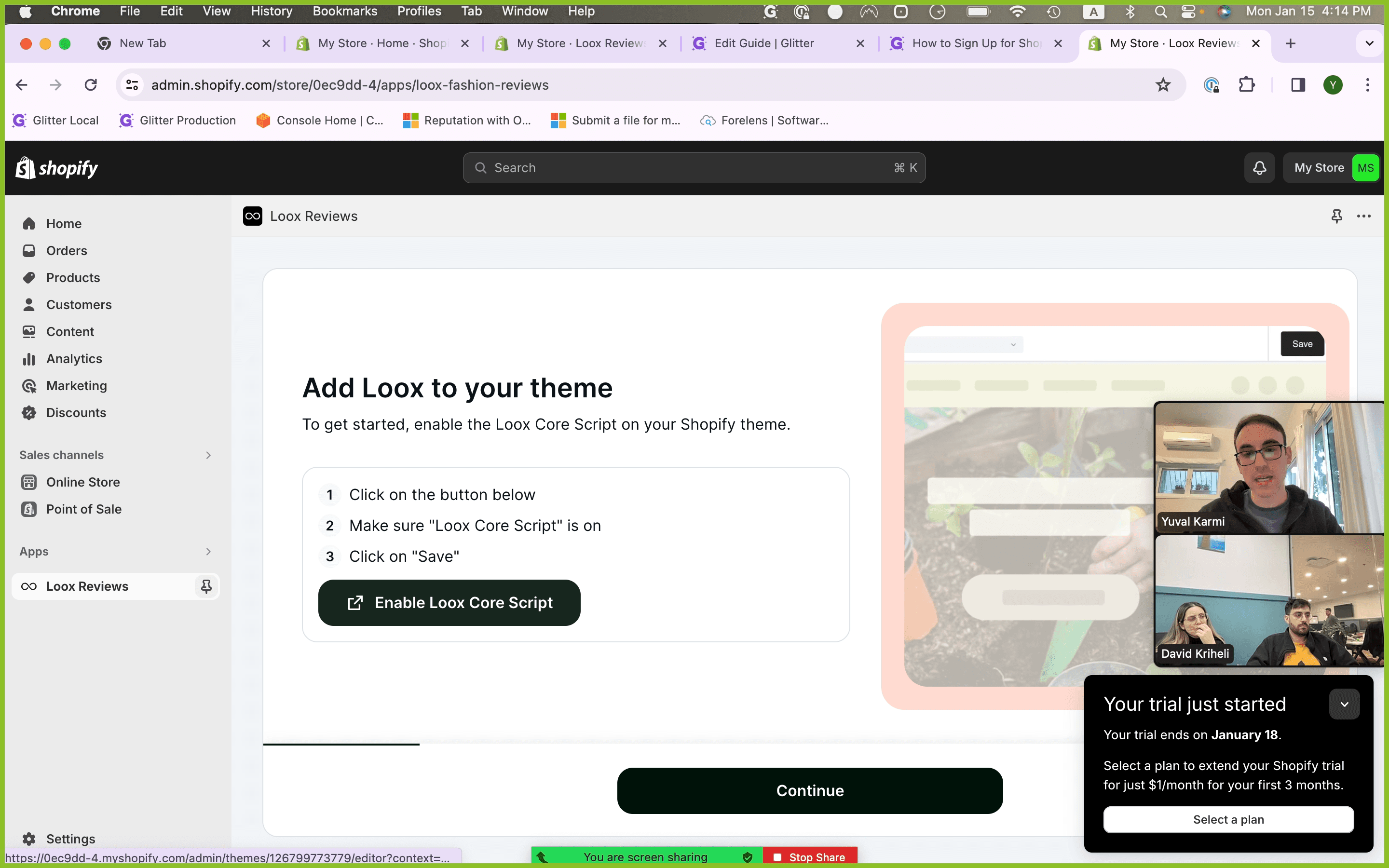 Step #8: Click "Enable Loox Core Script"