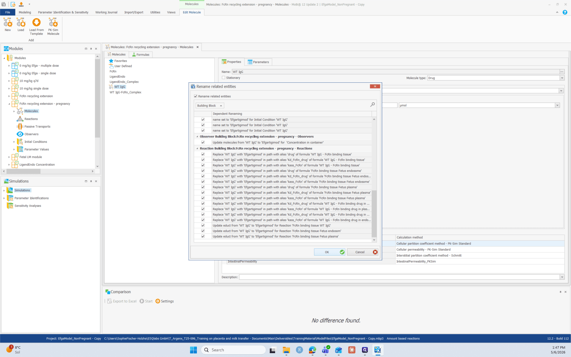 Step #4: Click OK on the Rename Related Entities dialog to automatically update dependencies.