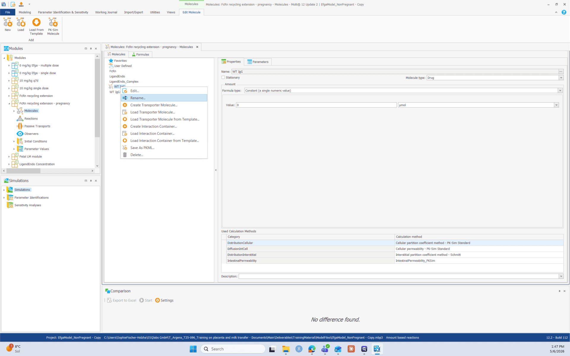 Step #2: Select Rename.