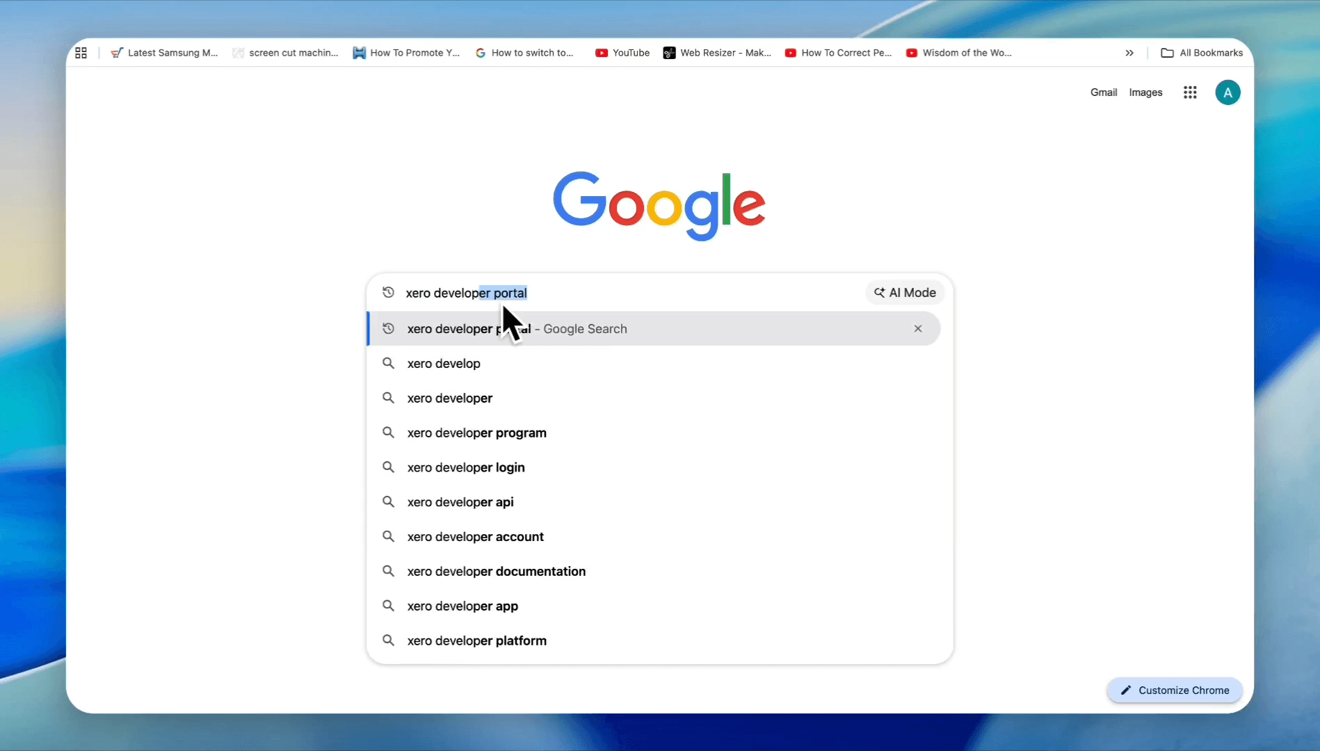Step #2: Open a new tab and search for "Xero developer portal". Click Xero Developer Platform from the search results and log in.