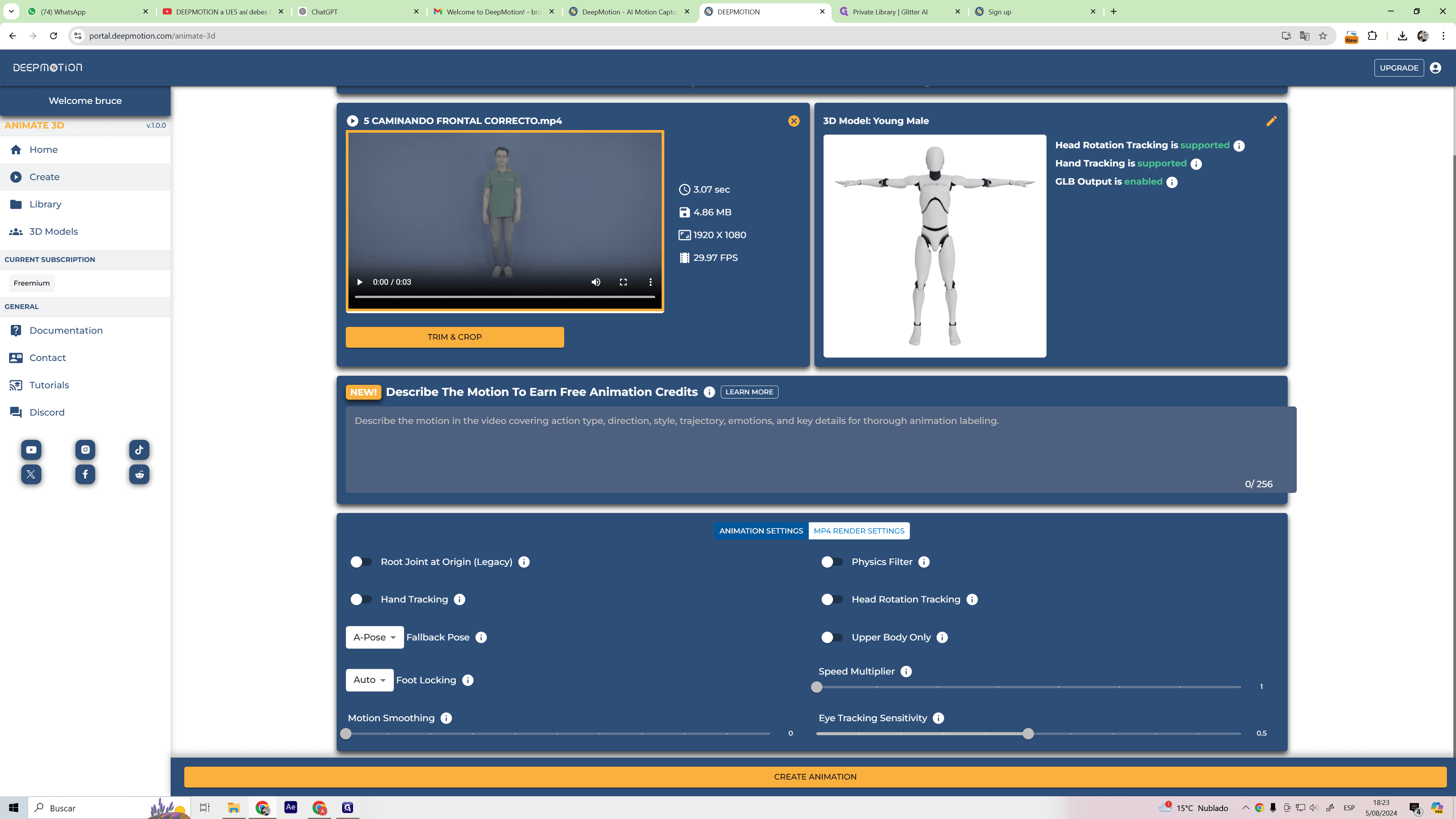 Step #5: Hagan clic en "ANIMATION SETTINGS"