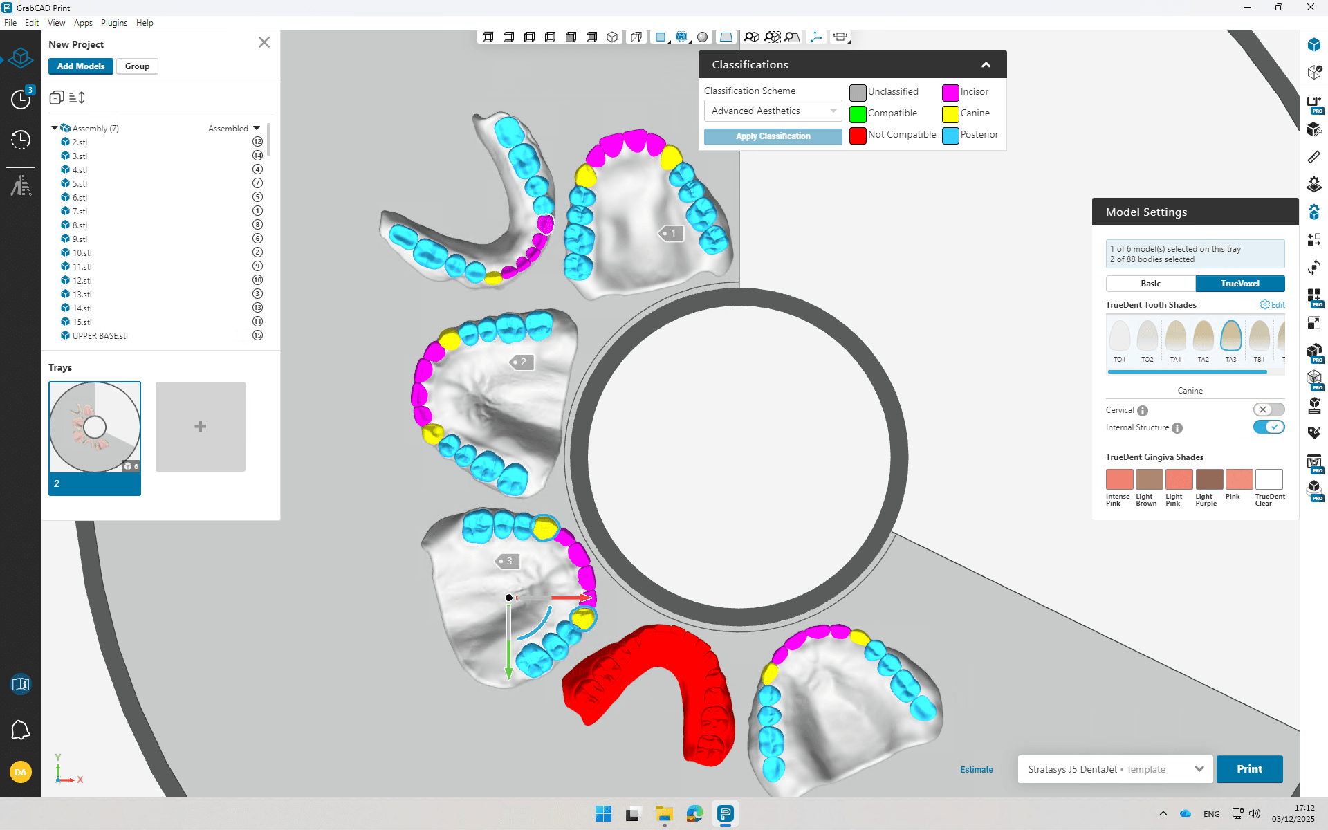 Step #10: Verify Tooth Type Identification and Correct where Needed
