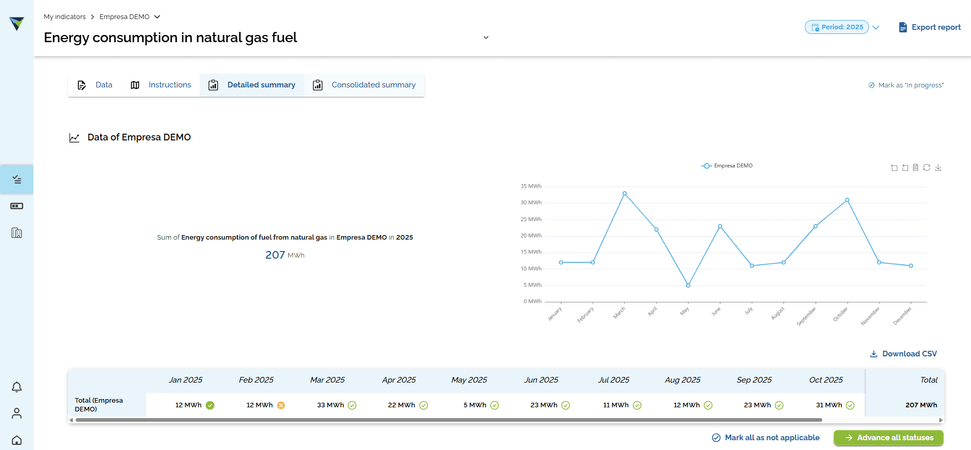 Step #4: You can also view the consolidated summary by clicking the "Consolidated summary" tab.
