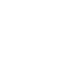 Customer Success Managers